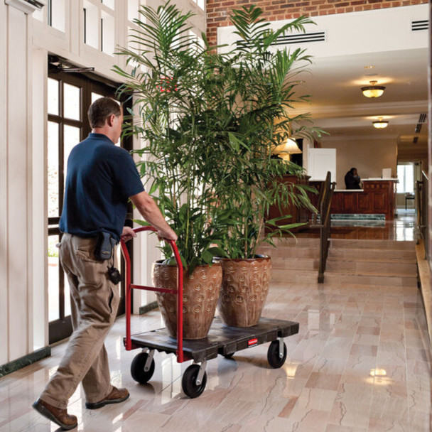 Rubbermaid Heavy-Duty Platform Truck Loaded with Two Indoor Potted Trees