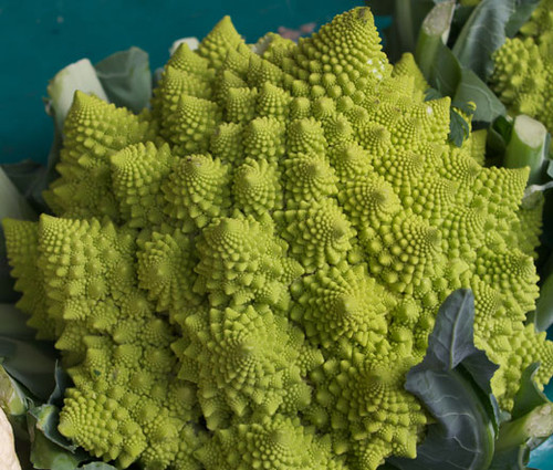 Broccoli Romanesco Non GMO Seeds -  Brassica Oleracea