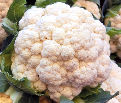 Cauliflower Snowball Organic Seeds - Brassica Oleracea