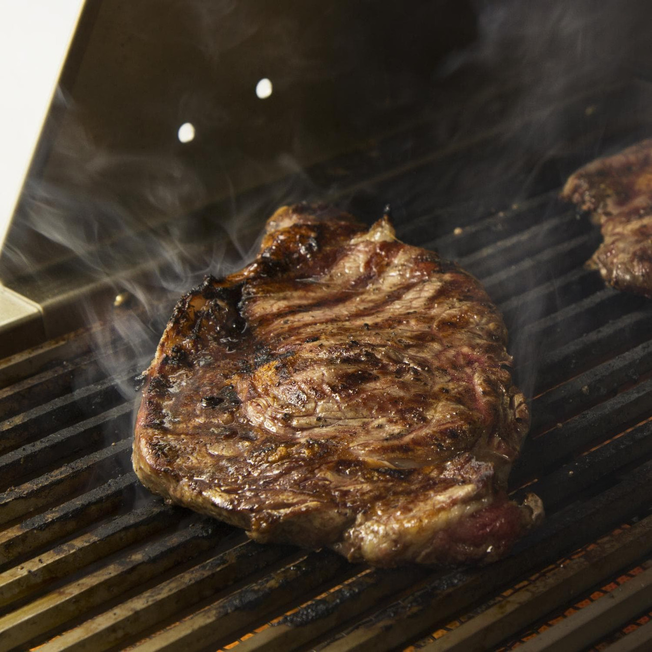 Sole Gourmet Infrared Burner Convertible Retrofit for All Sol√© Grills - IR