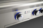 American Outdoor Grill Grill L-Series - 24-Inch 2-Burner Freestanding Grill - Liquid Propane Gas - AOG24PCL00SP
