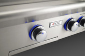 American Outdoor Grill Grill L-Series - 24-Inch 2-Burner Freestanding Grill on In-Ground Post - Natural Gas - AOG24NGL00SP