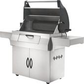 Napoleon Professional - Freestanding Grill - Charcoal  - PRO605CSS