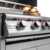 Blaze LTE 40 Inch 5-Burner Natural Gas Grill w/ Rear Burner & Lights Package - BLZ5LTENGDoorSB