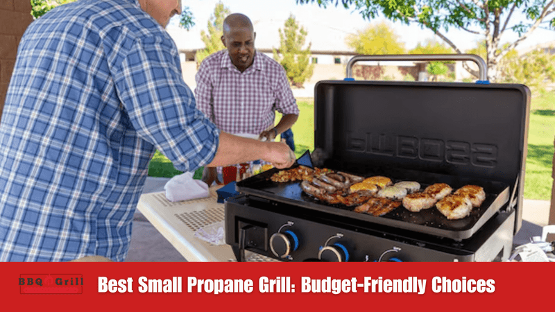 Best Small Propane Grill: Budget-Friendly Choices