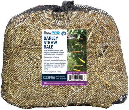 EBS EasyPro Barley Straw Bale - Approximately 1/2 lb.