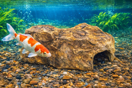 RFC25 EasyPro Rock-Look Fish Cave - 25"