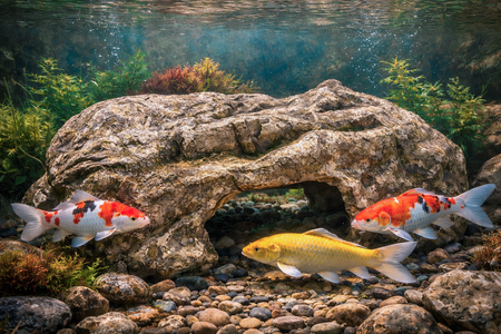 RFC30 EasyPro Rock-Look Fish Cave - 30"
