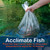 Acclimate fish in pond water for 10 minutes Acclimate fish in pond water for 10 minutes