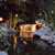 LED4WWK Two 3 Watt Underwater LED Lights with Transformer