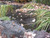 NP1515 3/4" / 15' X 15' Prepackaged Premium Pond Cover Netting, Includes 8 Stakes