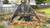 PCT810 Deluxe Pond Cover Tent - 8' x 10'
