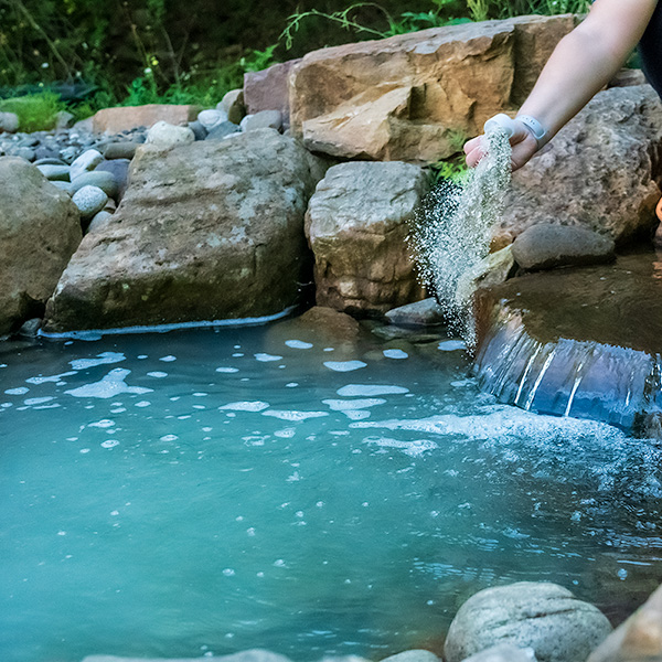 How To Clear Green Pond Water