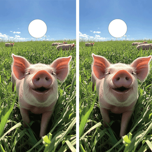 ornhole wraps featuring a cheerful pig smiling in a lush green field under a bright blue sky with scattered clouds. The pig's pink snout and perky ears add charm to the playful and rustic farm-inspired design, perfect for outdoor games. ornhole wraps featuring a cheerful pig smiling in a lush green field under a bright blue sky with scattered clouds. The pig's pink snout and perky ears add charm to the playful and rustic farm-inspired design, perfect for outdoor games.