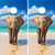 Tropical Elephant Cornhole Wraps / Skins / Stickers / Decals