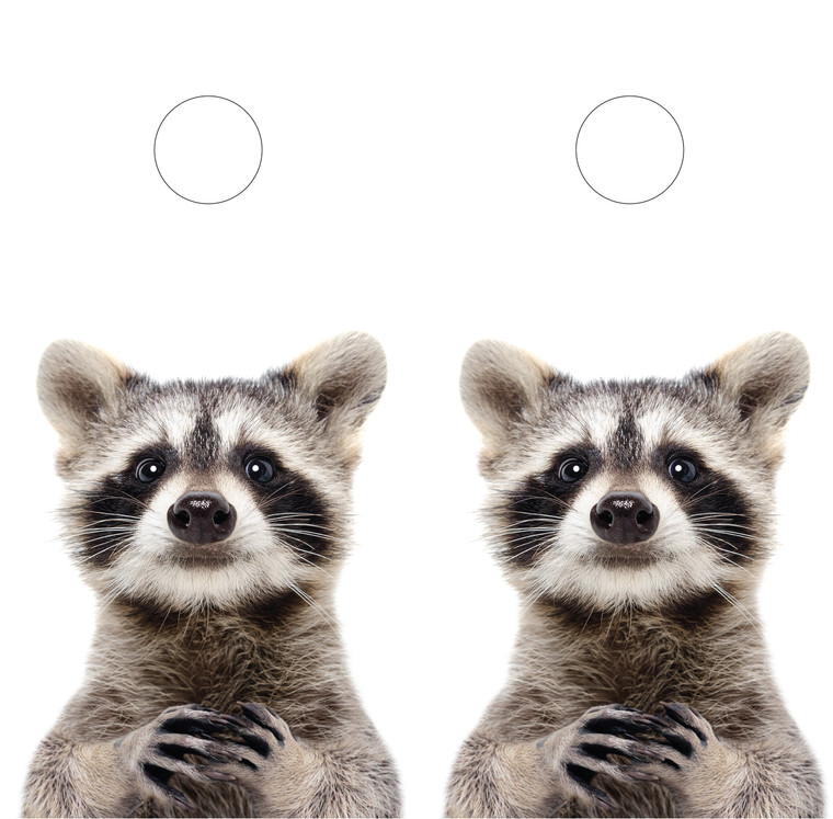 Super cute racoon cornhole wraps / skins / decals/ stickers