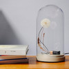  studio DRIFT E-Dandelight with Dome & Base 