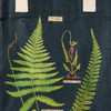 Ferns Specimens Tote Bag