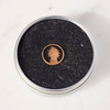 Copper Penny Lapel Pin by Stacey Lee Webber