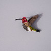 Embroidered & Beaded Hummingbird Pin