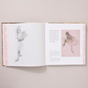 Degas Painter of Ballerinas by Susan Goldman Rubin