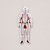 Armor Garniture Die Cut Magnet
