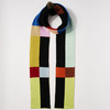 Chromo Knit Skinny Scarf