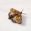 Embroidered & Beaded Gold Moth Pin