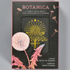 Beehive Books Botanica A Tarot Deck About the Language of Flowers by Beehive Books