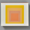 Philadelphia Museum of Art Josef Albers Notecard Set