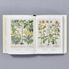  Florilegium: The Book of Plants 