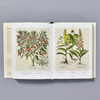  Florilegium: The Book of Plants 