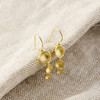 Sarah Richardson Jewelry Gold Vermeil Triple Pod Dangle Earrings 