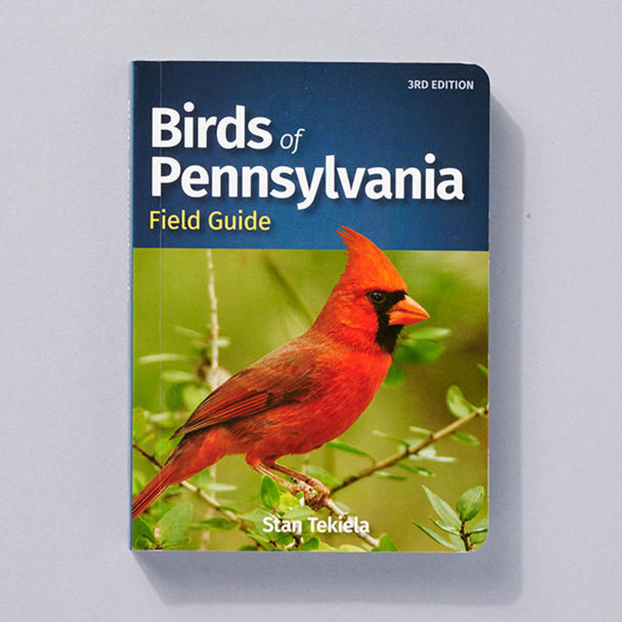 North American Birds Sticker Book - Perch Birding Gifts & Supplies