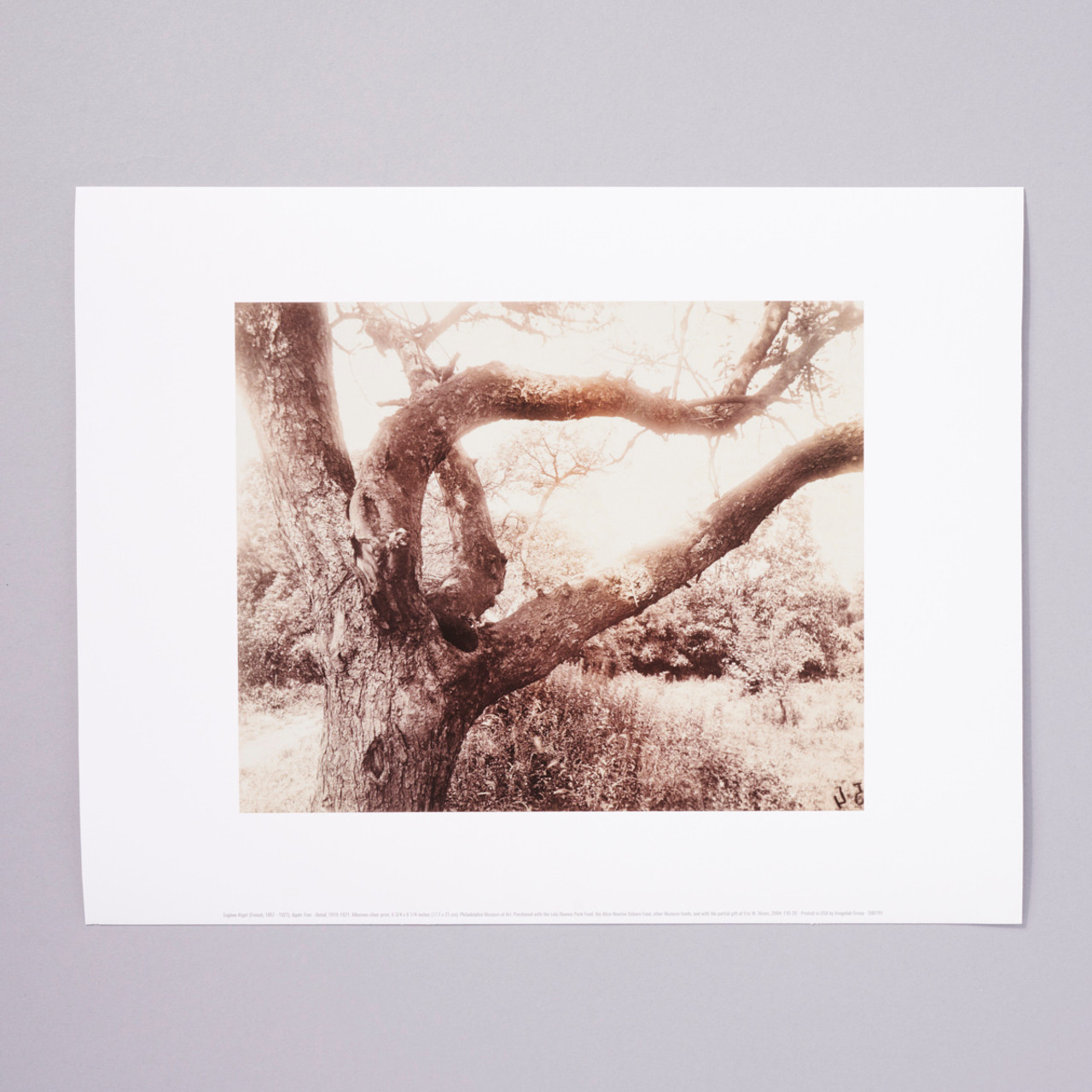 Sully Groan | Photographic Print