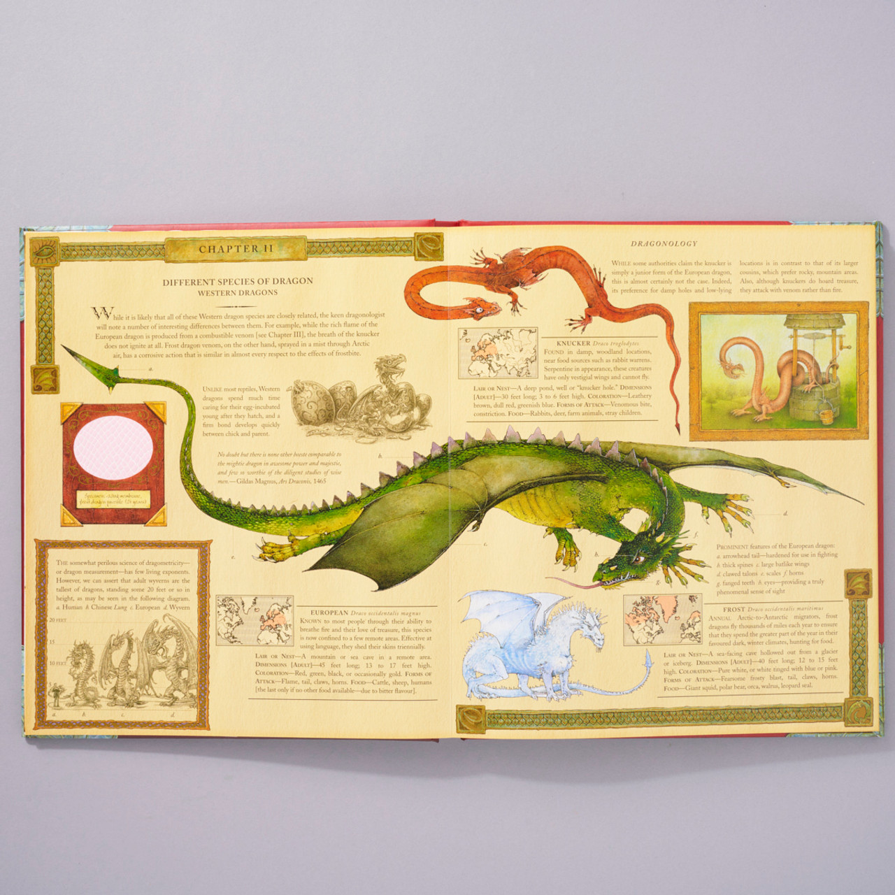 The Magnificent Book of Dragons