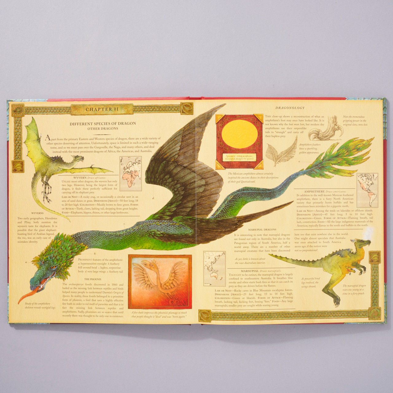 The Magnificent Book of Dragons