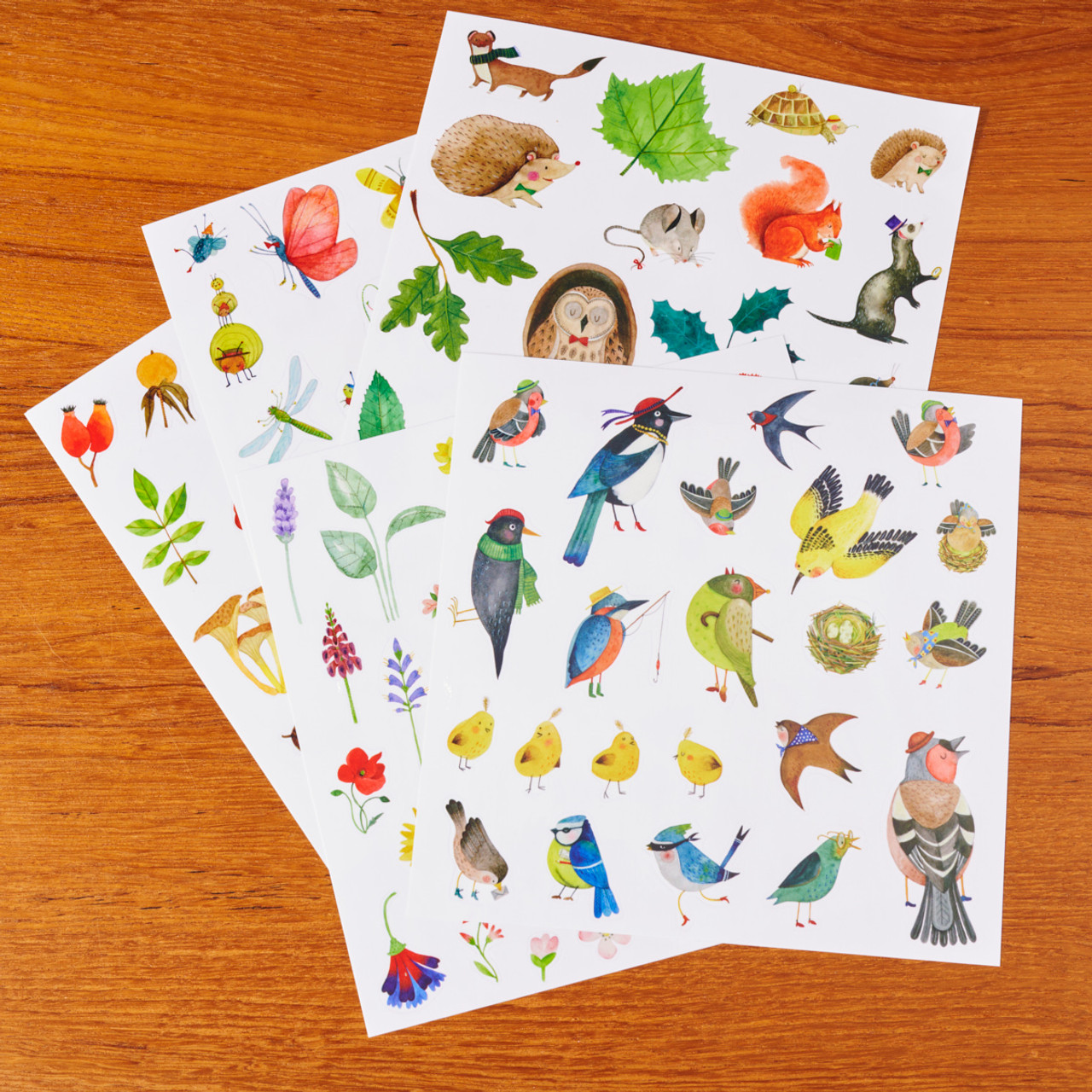 Botanist Garden Theme Coloring & Sticker Book by Moulin Roty