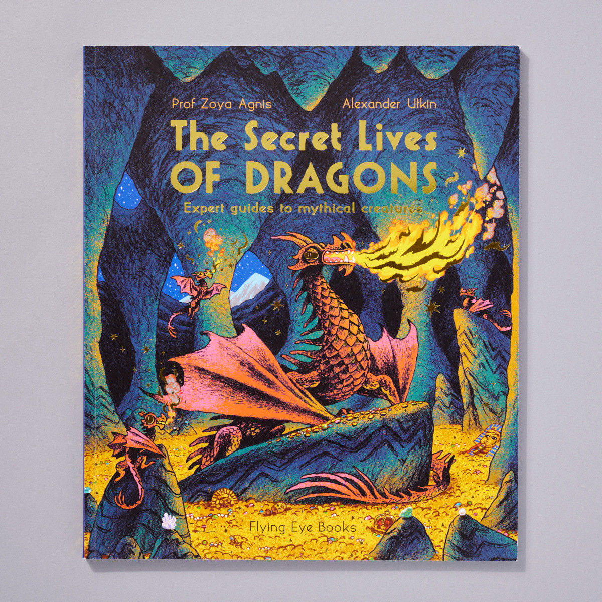 The Secret Lives of Dragons - Philadelphia Art Museum Store