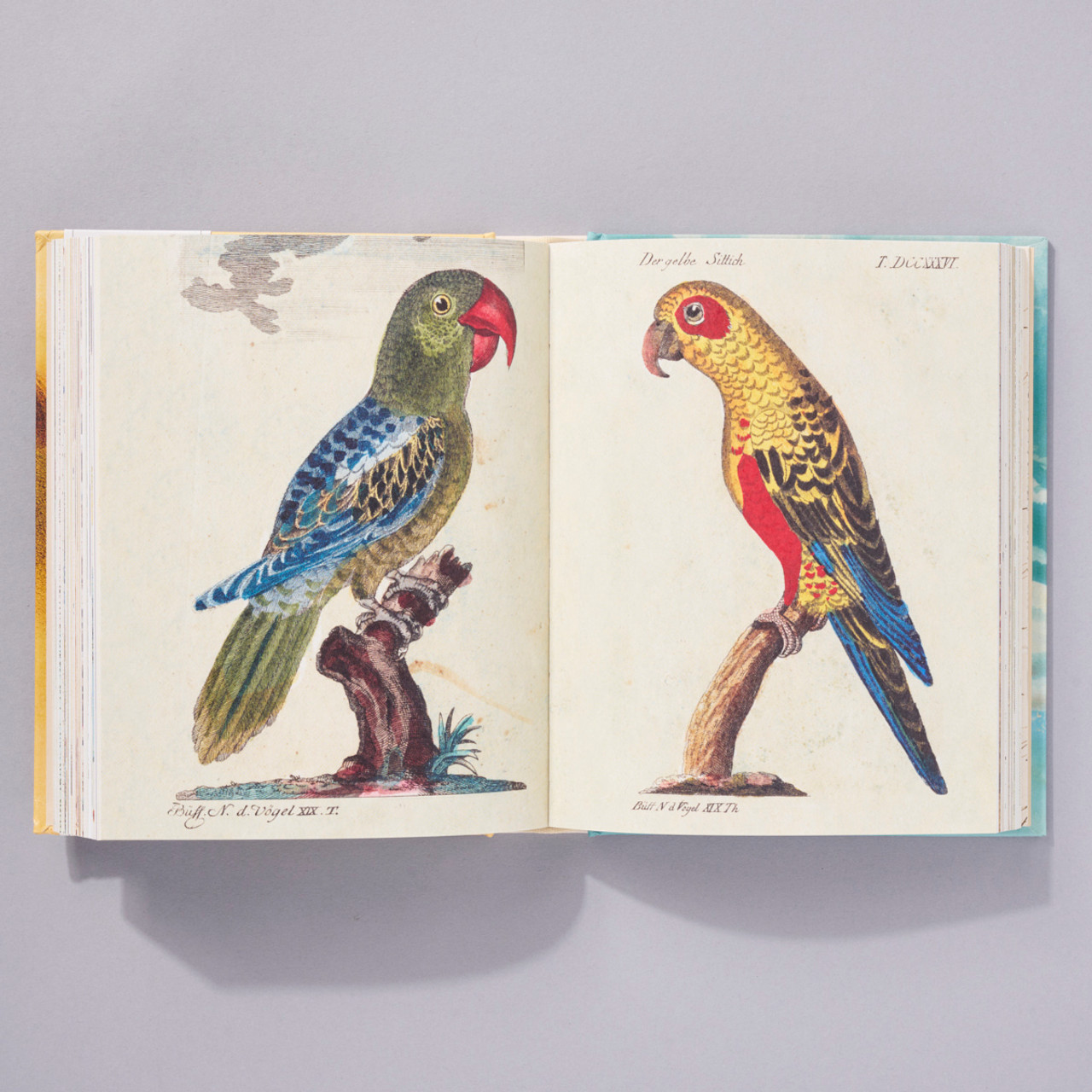 John Derian Sticker Book - Philadelphia Museum Of Art