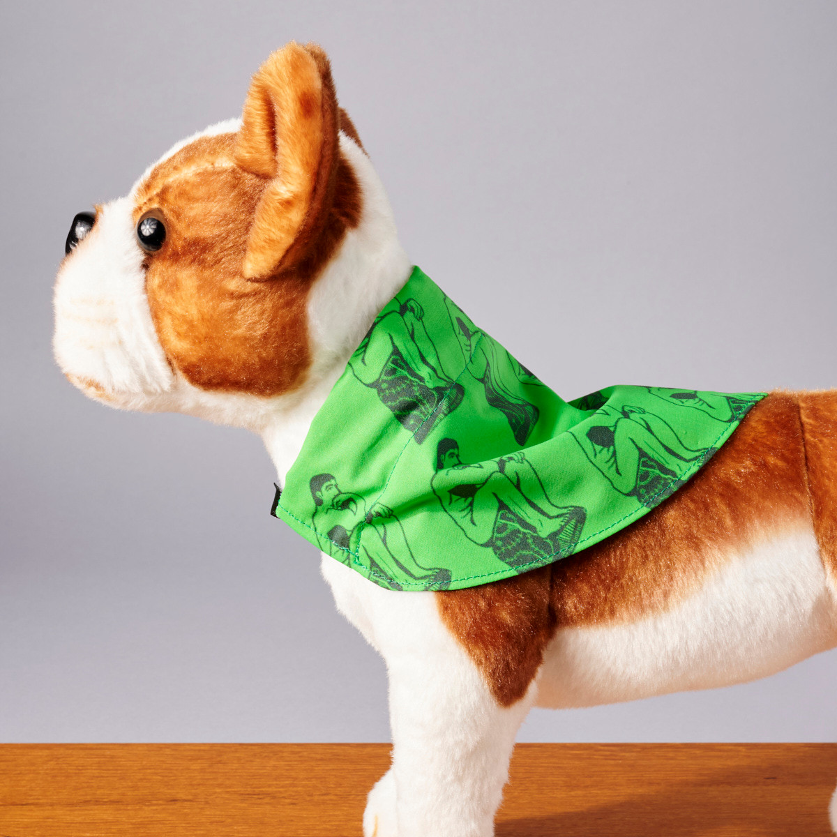 Thinker Dog Bandana by Ana Thorne - Philadelphia Museum of Art Store