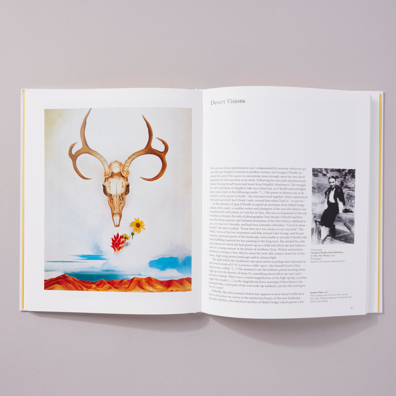 O'Keeffe - Basic Art Series - Philadelphia Museum Of Art Store