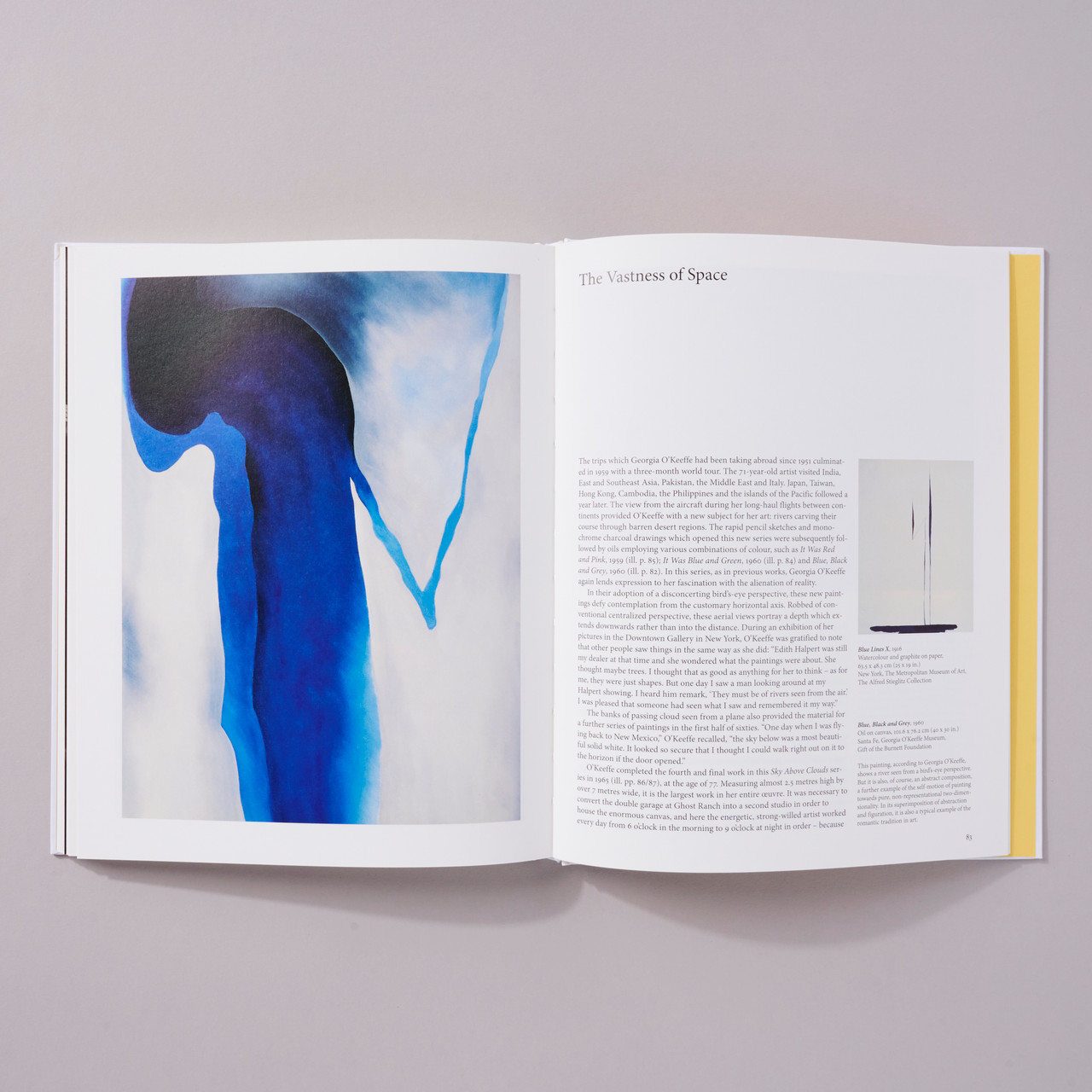 O'Keeffe - Basic Art Series - Philadelphia Museum Of Art Store