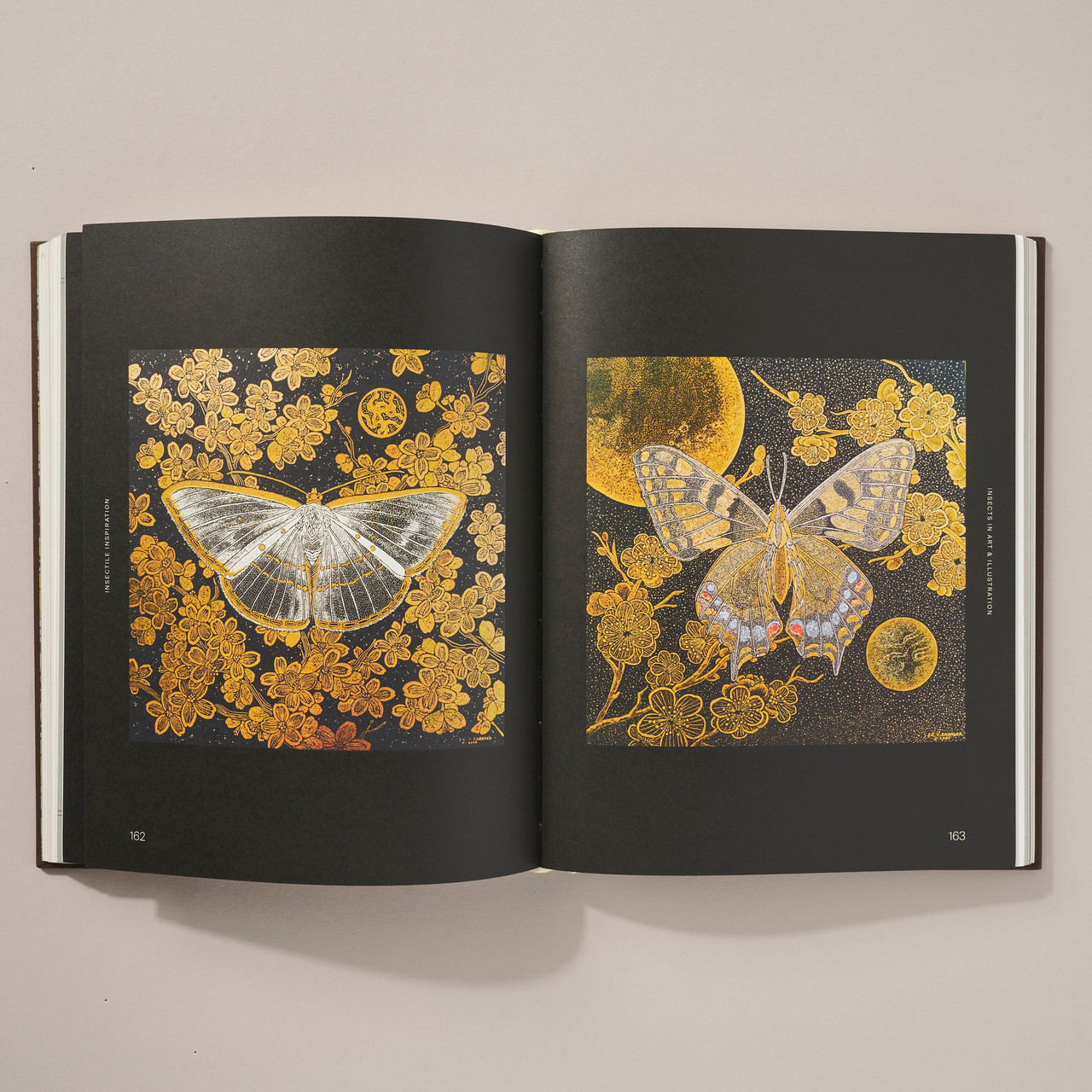 Insectile Inspiration: Insects in Art and Illustration
