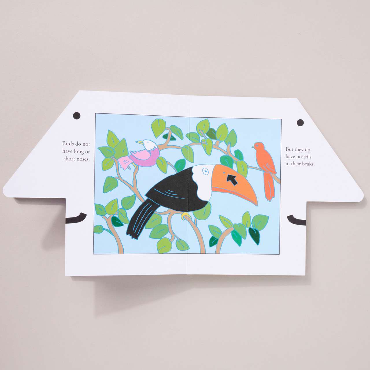 Nosy by Seymour Chwast - Philadelphia Art Museum Store