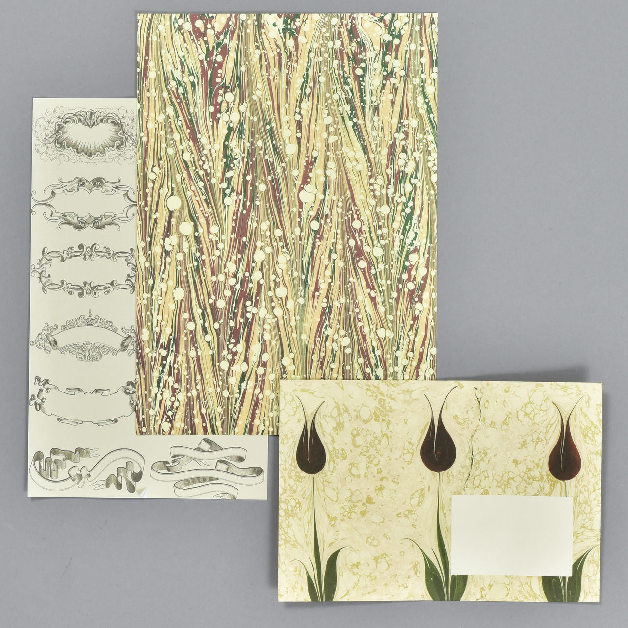 Art Forms in Nature Letter Writing Set