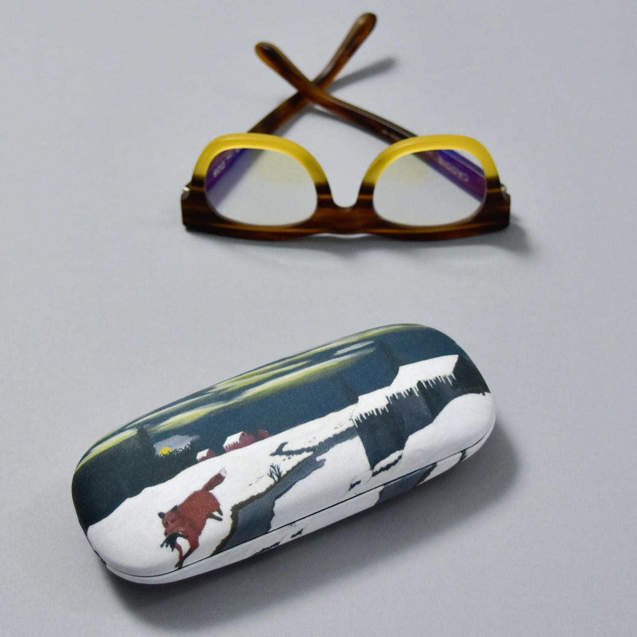 cool glasses case