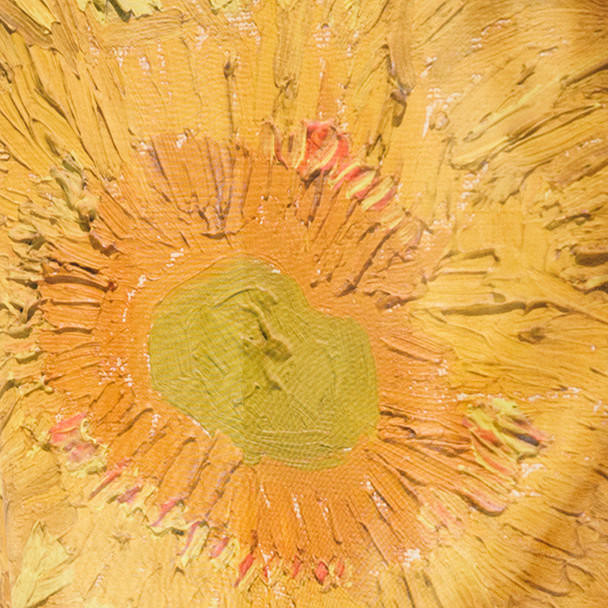 van Gogh Sunflowers Raincoat - Philadelphia Art Museum Store