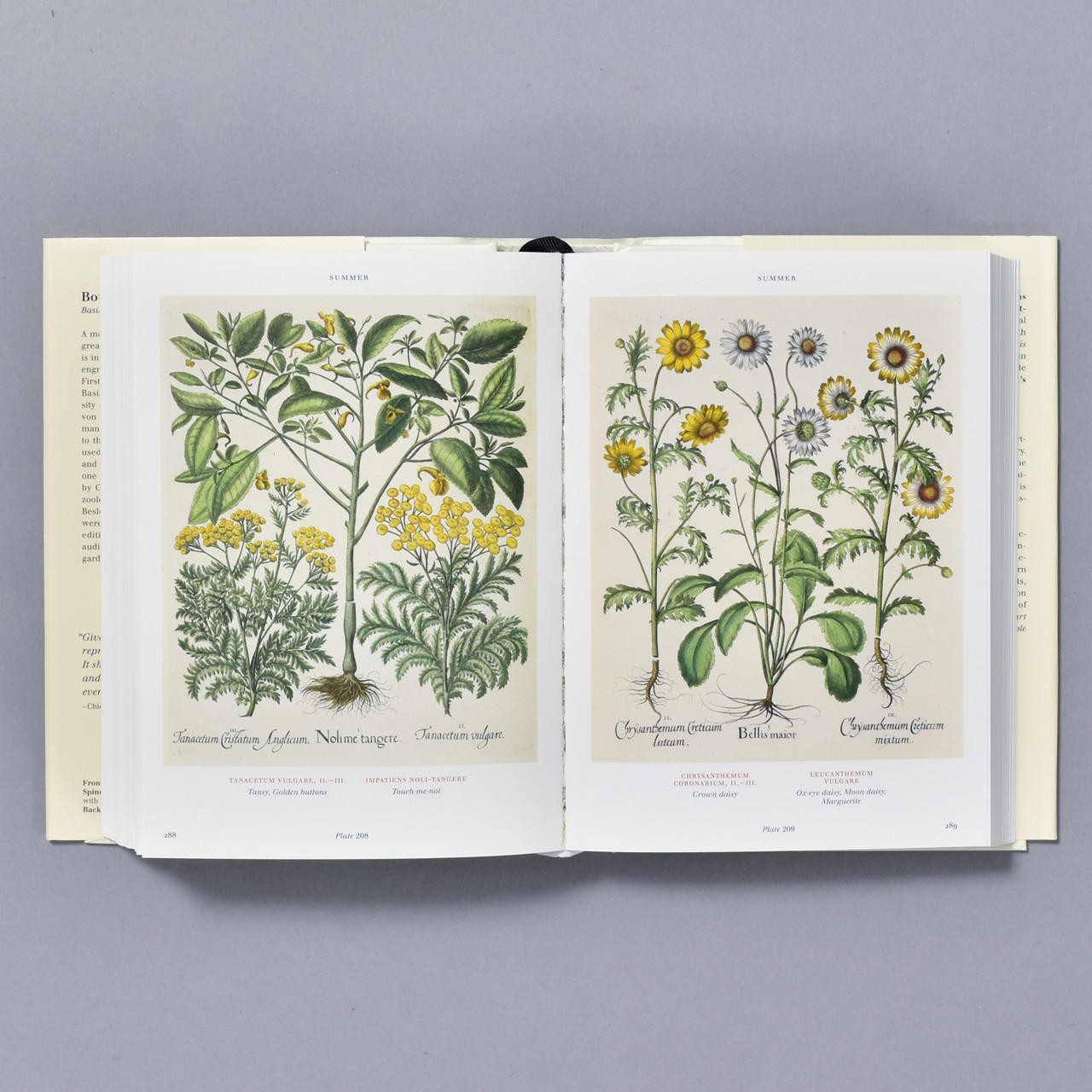 Florilegium: The Book of Plants - Philadelphia Museum Of Art