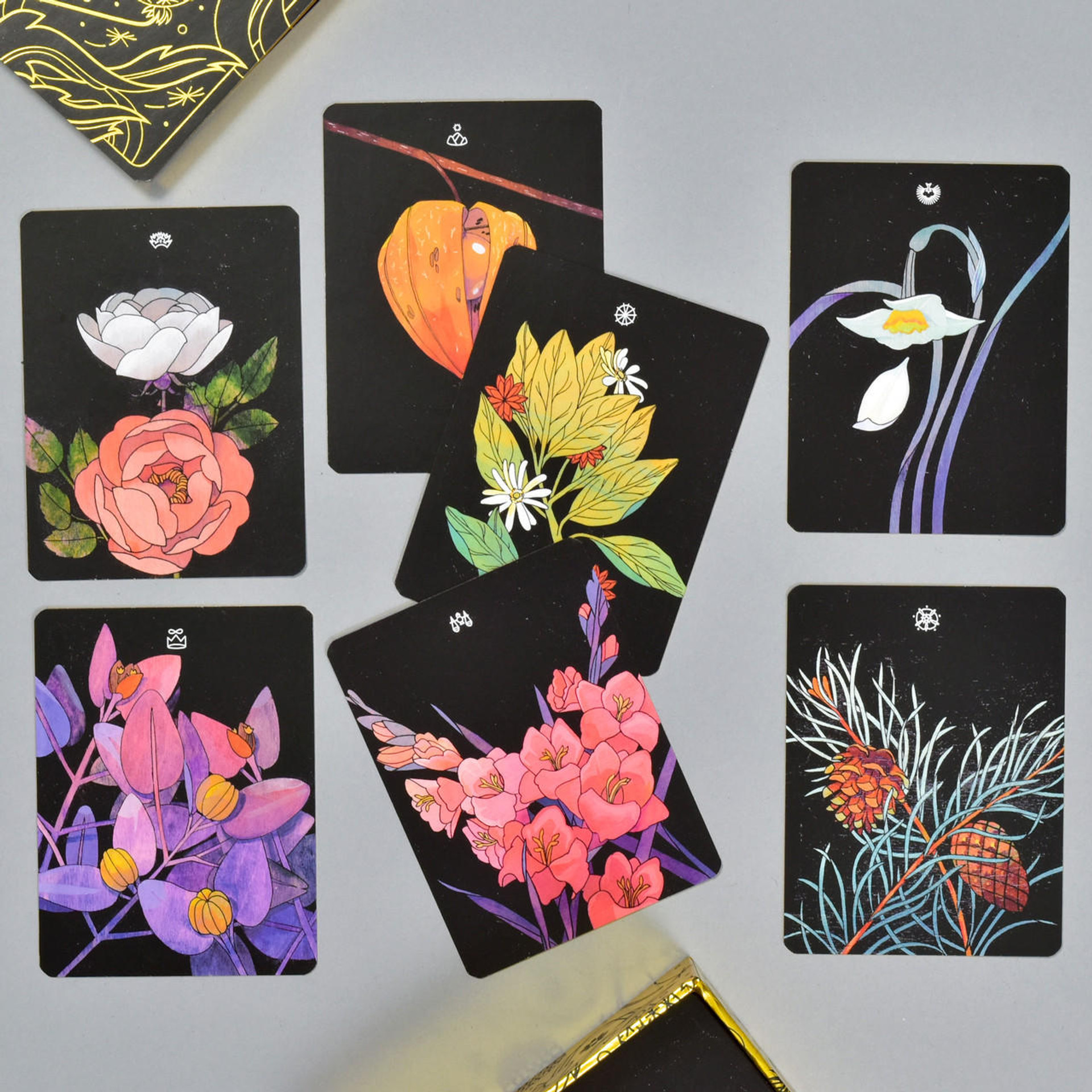 Botanica A Tarot Deck About The Language Of Flowers By Beehive Books